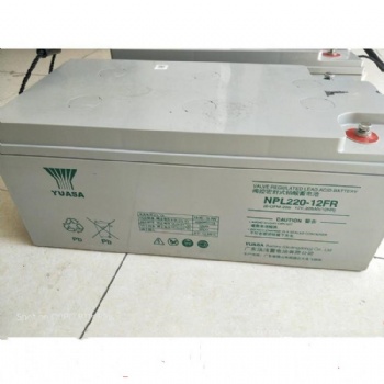 YUASA湯淺NP220-12蓄電池12V220AH廣東代理商現貨