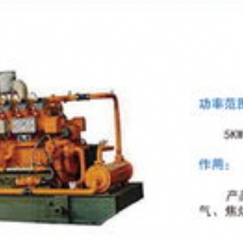 山東生物發電機設備廠家