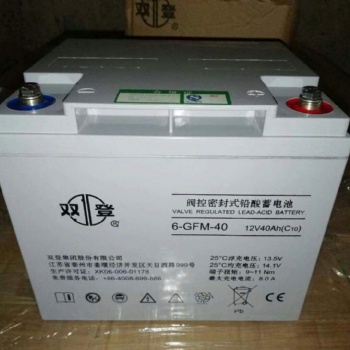 雙登蓄電池6-GFM-40 12V40AH 應(yīng)急電源鉛酸蓄電池