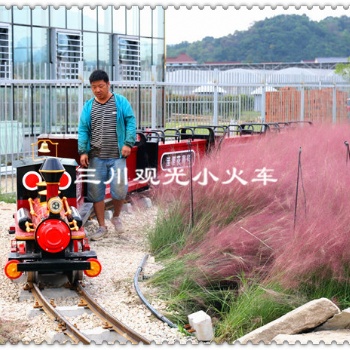 森林花海16座觀光小火車