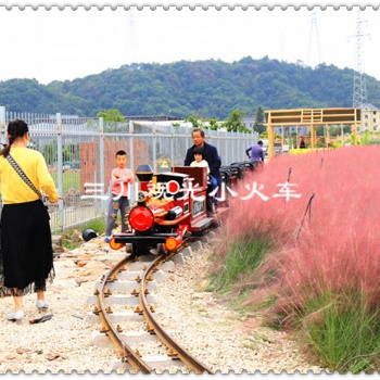 16座電動觀光軌道火車