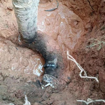 深圳龍華水管測漏水查漏水公司，地下水管漏水維修公司
