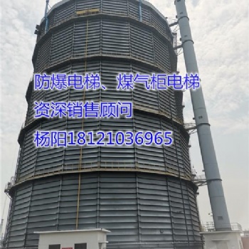 供應湖北省黃岡市紅安縣防爆電梯、煤氣柜電梯
