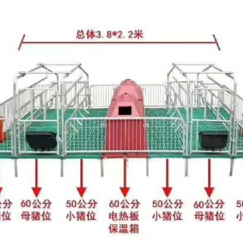 母豬雙體產(chǎn)床 熱鍍鋅產(chǎn)床 復(fù)合雙體母豬產(chǎn)床