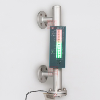 DSJ電子雙色液位計