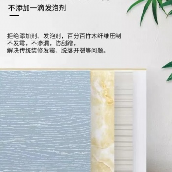 美佳匯集成墻板全屋整裝，時尚**演繹宜居新體驗