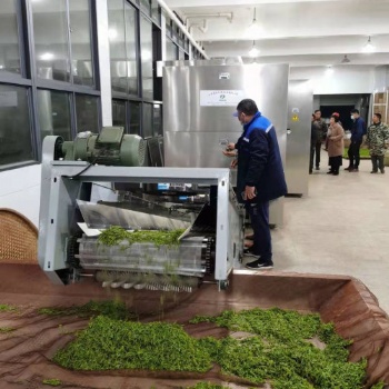 綠茶殺青機采用多層微波殺青設備的優勢