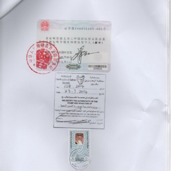 自由銷售證書CFS巴林大使館認(rèn)證蓋章