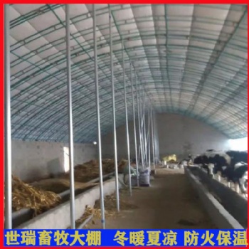 搭建養(yǎng)牛大棚 鋼架養(yǎng)牛棚 肉牛養(yǎng)殖棚建設(shè)