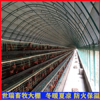 養(yǎng)雞大棚建設(shè) 肉雞養(yǎng)殖大棚搭建 養(yǎng)雞舍施工安裝