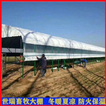 養(yǎng)豬大棚建設(shè) 養(yǎng)豬場豬舍規(guī)劃設(shè)計(jì) 養(yǎng)豬大棚搭建廠家