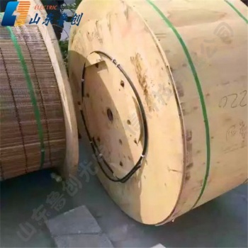 ADSS光纜廠家單護套4芯ADSS電力光纜檔距100M架空用ADSS光纖線