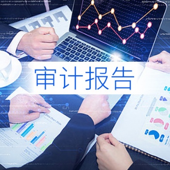 **登記/稅務(wù)申報(bào)/驗(yàn)資報(bào)告/一般納稅人