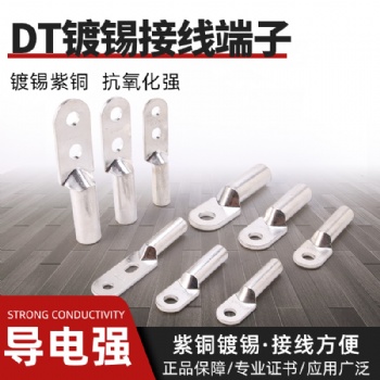 DT鍍錫釬焊銅鋁鼻子接線端子雙孔銅鋁鼻子過渡接線端子