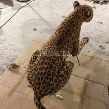 室內展覽仿真金錢豹模型博物館展示仿真金錢豹標本