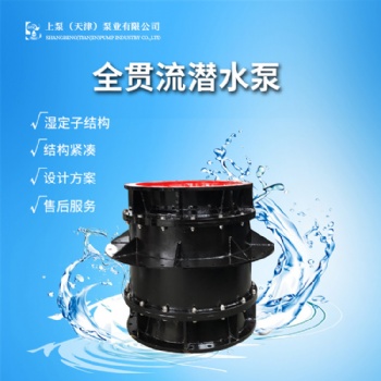 湖北大流量潛水貫流泵黃石辦事處