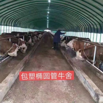 橢圓管大棚，日光溫室大棚，蔬菜大棚，養(yǎng)牛大棚