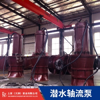 湖北總經銷800QZB-50潛水軸流泵市政排水農業灌溉