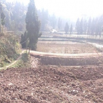 農(nóng)村土地整合規(guī)劃利用