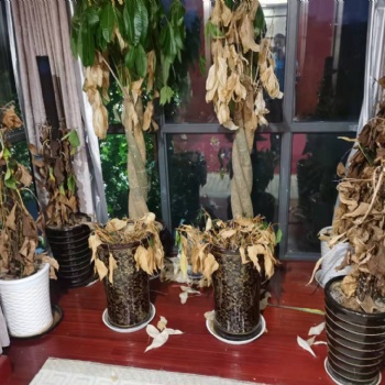 新市鎮工廠搬家可上門包裹