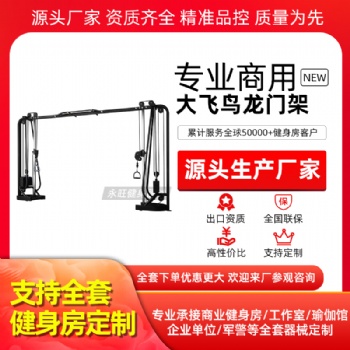 大飛鳥龍門架訓(xùn)練器商用健身房健身器材多功能綜合力量器械