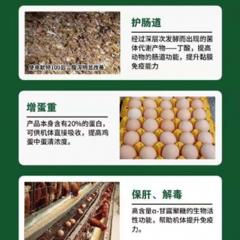 解毒提免護(hù)腸增蛋功能性營養(yǎng)型家禽飼料添加劑
