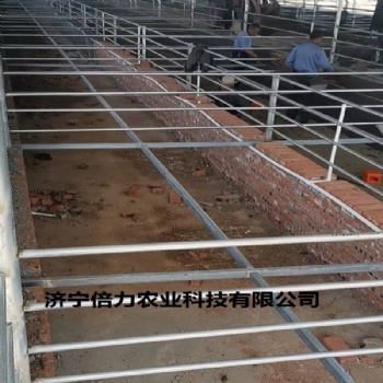 羊用輸送帶自動(dòng)清糞機(jī)