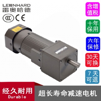 雷奧哈德180W微型減速電機(jī)3-180比廠家直供