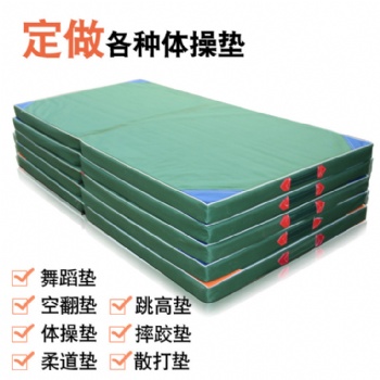 魯恒體操墊加厚海綿運(yùn)動(dòng)墊舞蹈練功折疊墊學(xué)生體育訓(xùn)練防護(hù)墊