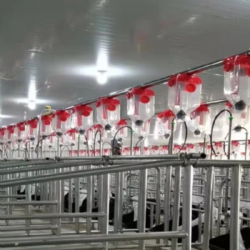 種豬場自動飼喂料線篩盤料線養(yǎng)豬設(shè)備