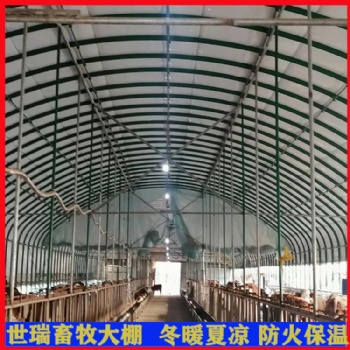 定制養(yǎng)牛大棚 養(yǎng)牛場牛舍規(guī)劃設(shè)計(jì) 肉牛養(yǎng)殖棚施工建造