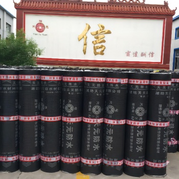 天元防水生產3mm4mm塑性體APP改性瀝青防水卷材APP防水卷材