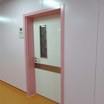 廠家供應(yīng)病房鋼制門(mén) 制藥廠無(wú)塵車(chē)間潔凈門(mén)