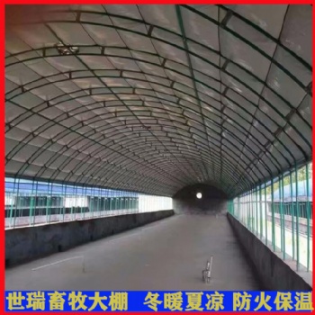 安裝養(yǎng)兔大棚 肉兔棚建設(shè) 養(yǎng)驢大棚施工搭建 驢舍大棚建造