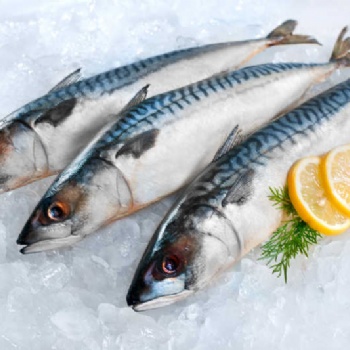 青島進(jìn)口鯖魚報關(guān)代理