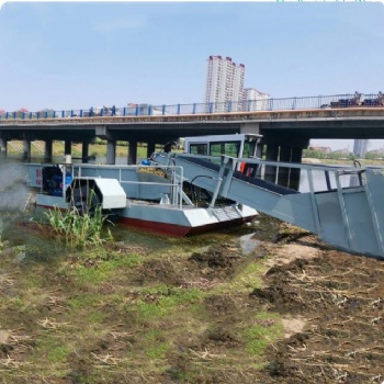 滸苔清理藍藻打撈機械廠家 魚塘蟹塘景區庫區水面垃圾打撈清理機械