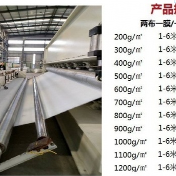 甘肅蓄水池兩布一膜使用規格，西寧垃圾填埋場防滲土工膜、長絲土工布生產廠家