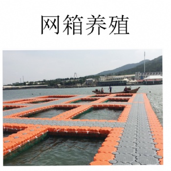 全新經濟款水上浮筒 釣魚平臺 停船臨時碼頭泊位 海上光伏養殖浮臺網箱廠家
