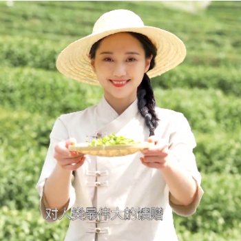 高端服務(wù)，溫馨呵護(hù)——茶益康