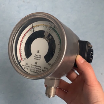 SPR 100mm遠(yuǎn)傳式繼電器徑向