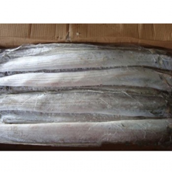 天津進口帶魚需要的報關(guān)資料