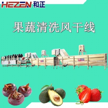 和正機械果蔬氣泡清洗機 去農殘蔬菜清洗流水線 火龍果連續式清洗設備