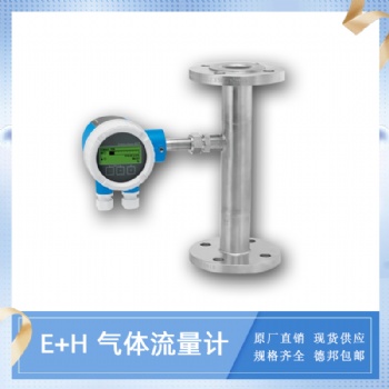 盾構機配件 E+H流量計