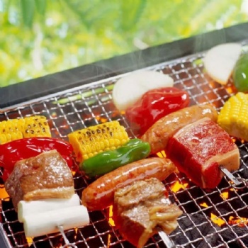 新型燒烤網(wǎng)片不銹鋼烤肉網(wǎng)戶(hù)外燒烤工具