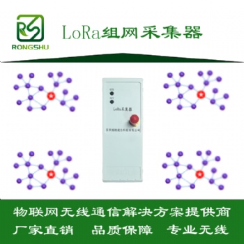 LoRa采集器-RS485接口無線組網-深圳榕樹通信科技有限公司