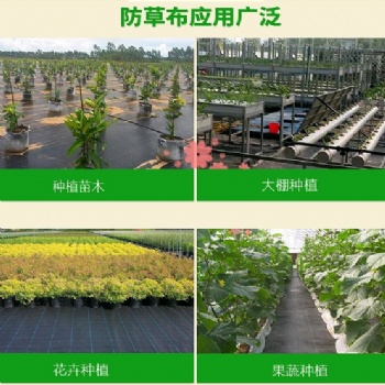 抗老化防草布 果園防草布廠家 山東防草布價格