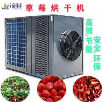 草莓烘干機水果烘干設(shè)備家用干燥機