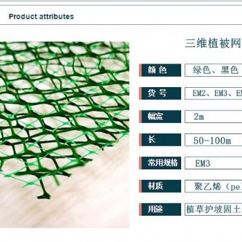 河道綠化植被網(wǎng)護坡網(wǎng)保護水土流失棒