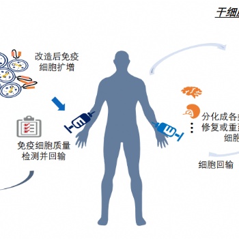 細胞治療質(zhì)量控制解決方案