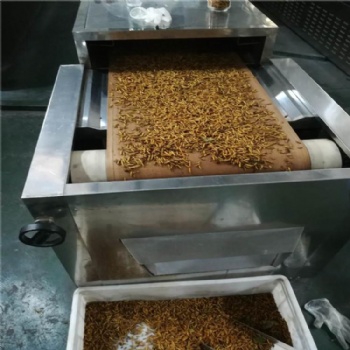 大麥蟲烘干箱|黃粉蟲膨化機(jī)|面包蟲膨化干燥箱